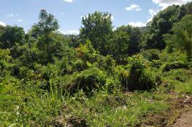 Residential Lot for Sale in Mandeville