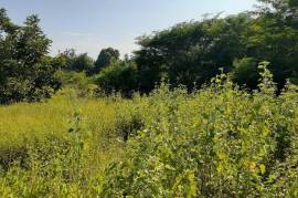 Residential Lot for Sale in May Pen