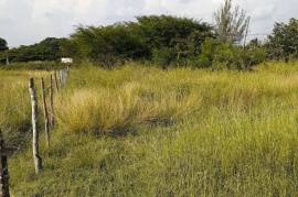 Residential Lot for Sale in May Pen