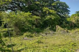 Residential Lot for Sale in May Pen