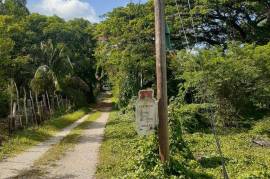 Residential Lot for Sale in May Pen