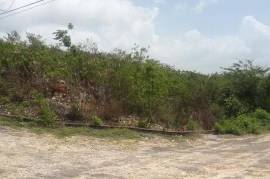 Residential Lot for Sale in Spanish Town