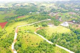 Residential Lot for Sale in Mandeville