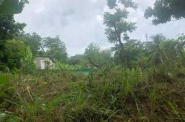 Residential Lot for Sale in Kingston 9