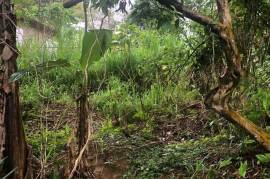 Residential Lot for Sale in Kingston 9