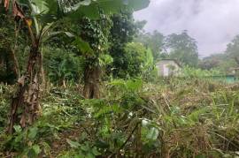 Residential Lot for Sale in Kingston 9