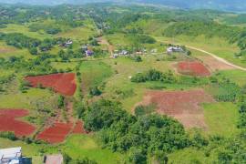 Residential Lot for Sale in Mandeville