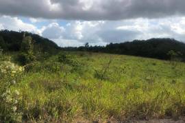 Residential Lot for Sale in Newport