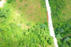 Residential Lot for Sale in Mandeville