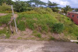 Residential Lot for Sale in Retreat