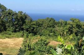 Residential Lot for Sale in Discovery Bay