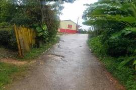 Residential Lot for Sale in Mandeville