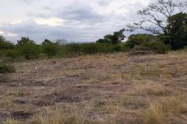 Residential Lot for Sale in May Pen