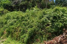 Residential Lot for Sale in Sandy Bay