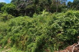 Residential Lot for Sale in Sandy Bay