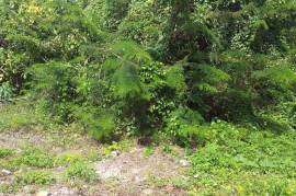 Residential Lot for Sale in Negril