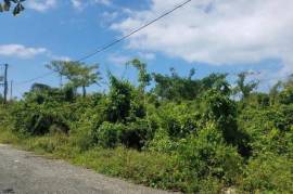 Residential Lot for Sale in White House WD