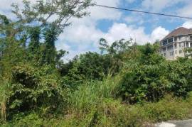 Residential Lot for Sale in White House WD