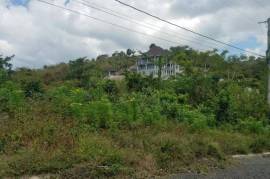 Residential Lot for Sale in White House WD