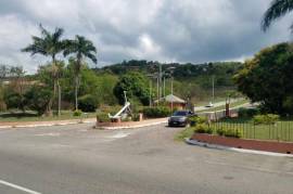 Residential Lot for Sale in White House WD