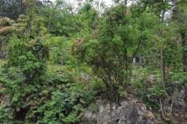 Residential Lot for Sale in Mocho