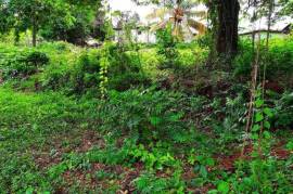 Residential Lot for Sale in Ewarton