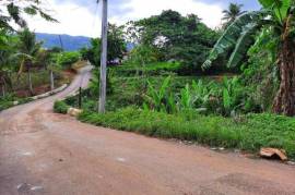 Residential Lot for Sale in Ewarton