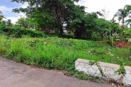 Residential Lot for Sale in Ewarton