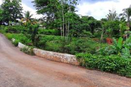 Residential Lot for Sale in Ewarton