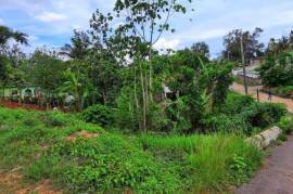 Residential Lot for Sale in Ewarton