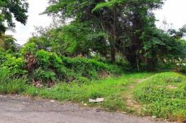 Residential Lot for Sale in Ewarton