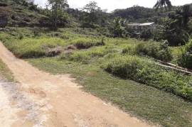 Residential Lot for Sale in Claremont