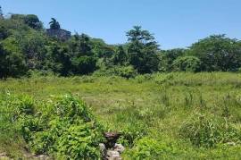 Residential Lot for Private in Lucea