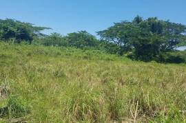 Residential Lot for Private in Lucea