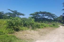 Residential Lot for Private in Lucea