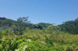 Residential Lot for Private in Lucea