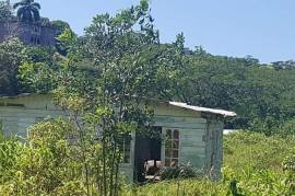 Residential Lot for Private in Lucea