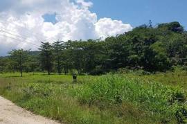 Residential Lot for Private in Lucea