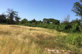 Residential Lot for Sale in Discovery Bay