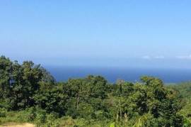 Residential Lot for Sale in Discovery Bay