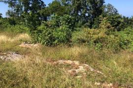 Residential Lot for Sale in Discovery Bay