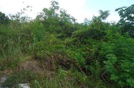 Residential Lot for Private in Red Hills