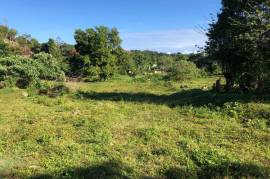 Residential Lot for Sale in Browns Town