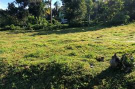 Residential Lot for Sale in Browns Town