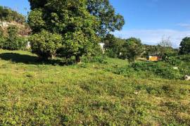 Residential Lot for Sale in Browns Town