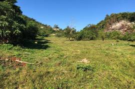 Residential Lot for Sale in Browns Town