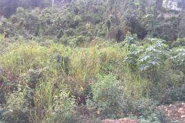 Residential Lot for Sale in Red Hills