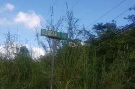 Residential Lot for Sale in Mandeville