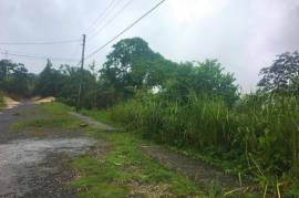 Residential Lot for Sale in Mandeville