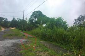 Residential Lot for Sale in Mandeville